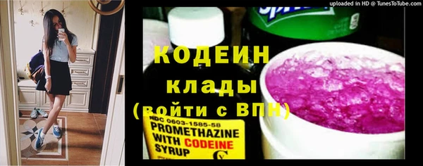 дурь Пересвет