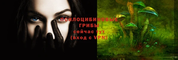 сатива Балабаново