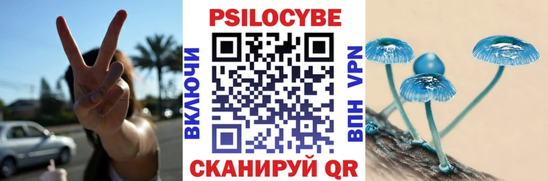 Псилоцибиновые грибы Cubensis  Николаевск 