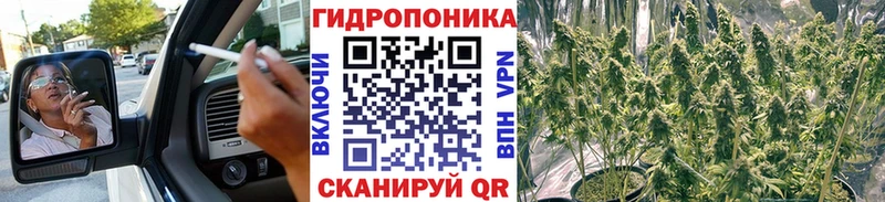 hydra ССЫЛКА  Николаевск  Каннабис OG Kush  дарнет шоп 